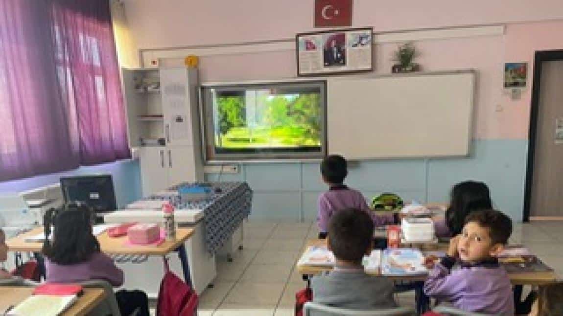 Yeşil Vatan Benim Okulum Geleceğe Çare Eylül Ayı Etkinlikleri